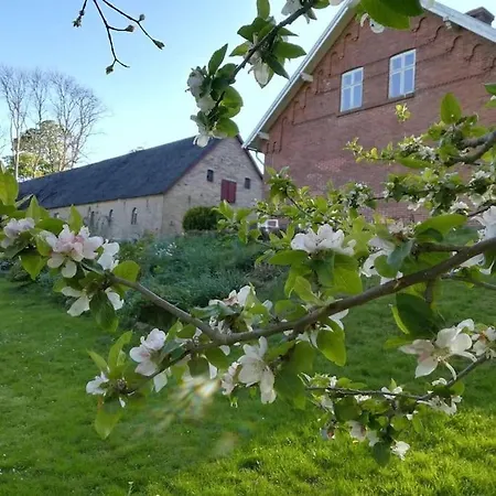 Tiny House I Storslaet Natur